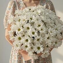 Купить цветы в магазине в городе Москва